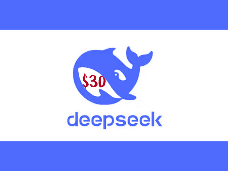 deepseek reinforcement learning (RL)