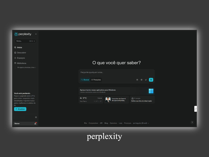 Perplexity